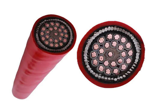 Control Cable